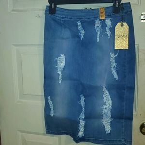 Vibrant Size Large Distressed Skirt